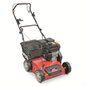 Wertykulatory i aeratory