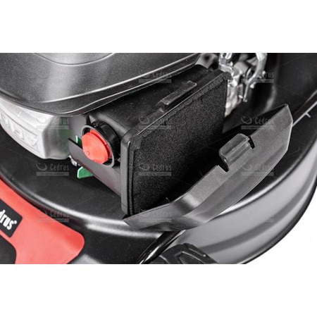 Kosiarka spalinowa Cedrus KS42