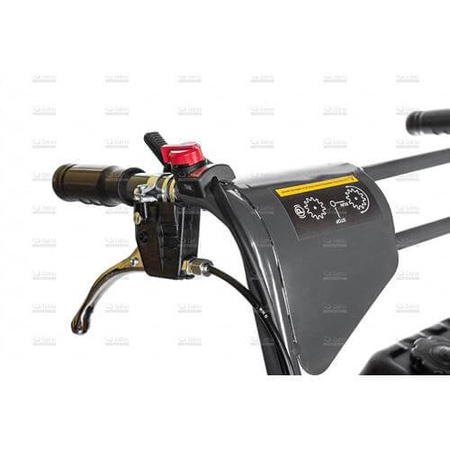 Transporter gąsienicowy Cedrus TR300G