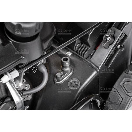 Kosiarka spalinowa Cedrus KS42