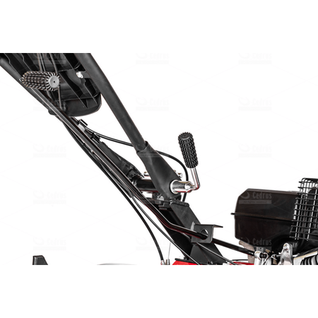 Glebogryzarka CEDRUS GL06-Rato 135 cm