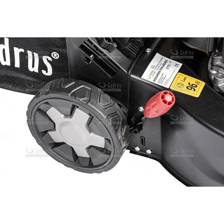 Kosiarka spalinowa Cedrus KS42